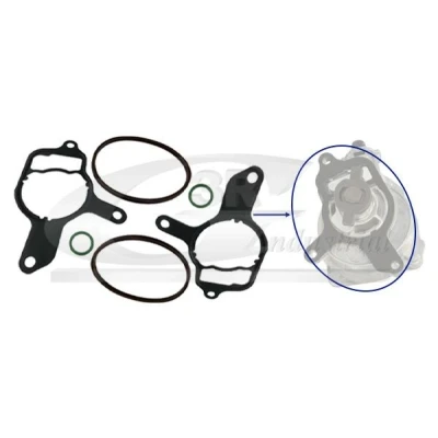 Imagem de 3RG 74701 Kit de reparação para bomba vácuo