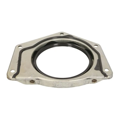 Imagem de REINZ 81 10455 00 Retentor de Cambota com estrutura suporte Borracha OPEL: Insignia A Sports Tourer, Hatchback, CHEVROLET: Captiva