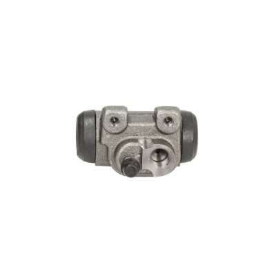 Imagem de DELPHI LW39176 Cilindro de Roda 19 com regulador integrado CITROËN: C3 I Hatchback