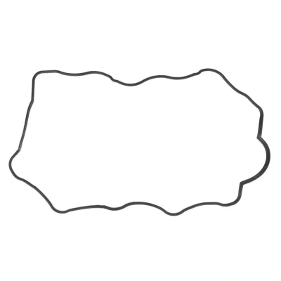 Imagem de REINZ 71 38167 00 Junta de Tapa Valvulas CHEVROLET: Captiva, Lacetti Hatchback, Cruze Sedan
