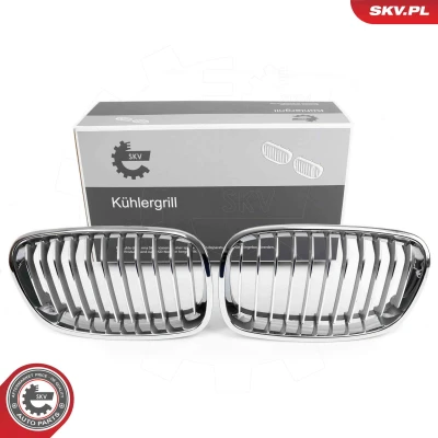 Imagem de ESEN SKV 66SKV015 Grelha de Radiador crómio BMW: 1 Hatchback, Hatchback