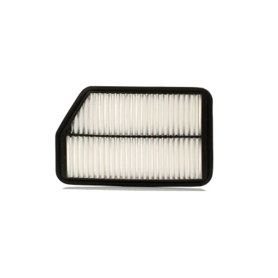 Imagem de ASHIKA 20 0H H23 Filtro de ar 54 164 259 Cartucho filtrante HYUNDAI: ix35, KIA: Sportage III