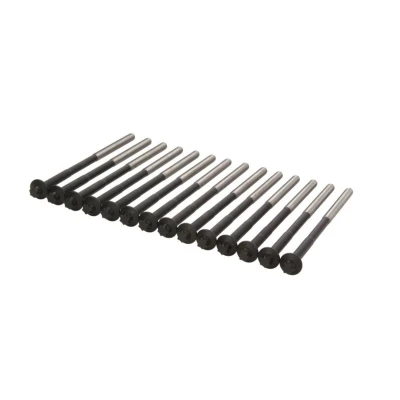 Imagem de REINZ 14 32365 01 Jogo de Parafusos da Cabeçote torx exterior