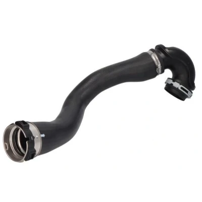 Imagem de Mangueira de ar reforço THERMOTEC DCX056TT