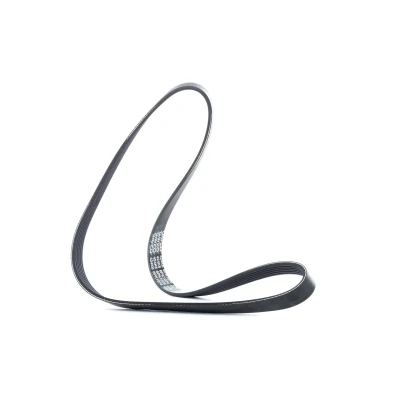 Imagem de DAYCO 6PK1076 Correia trapezoidal estriada 1076,0 6 VOLKSWAGEN: Golf 4, Polo IV Hatchback, V SEAT: Ibiza 3, Leon I Hatchback