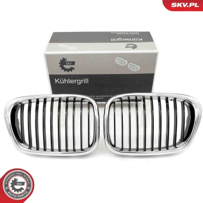 Imagem de ESEN SKV 66SKV160 Grelha de Radiador crómio/negro BMW: 5 Sedan