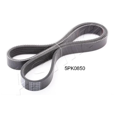 Imagem de Correia trapezoidal estriada ASHIKA 112 5PK850