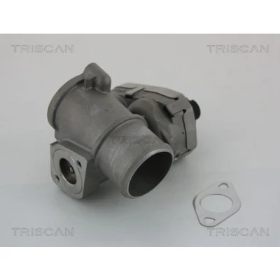 Imagem de TRISCAN 8813 16101 Válvula EGR elétrico com juntas FORD: MONDEO 3 Kombi, 3, JAGUAR: X Type Sedan