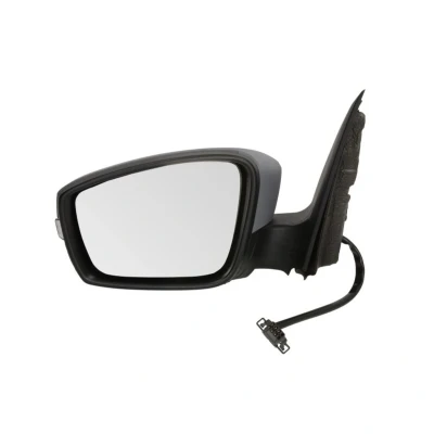 Imagem de Espelho retrovisor exterior BLIC 5402 43 1305361P Links