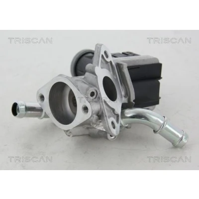 Imagem de TRISCAN 8813 16036 Válvula EGR electrónico com juntas CITROËN: Jumper II Van, FORD: Transit Mk6 PEUGEOT: Boxer Van