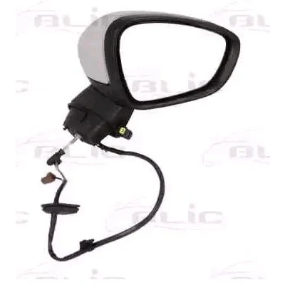 Imagem de Espelho retrovisor exterior BLIC 5402 21 039364P Rechts