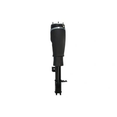 Imagem de Magnum Technology APL017MT Elemento de suspensão pneumática à frente, lado esquerdo LAND ROVER: Range Rover 3