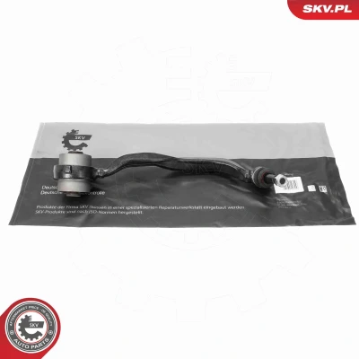 Imagem de Braço oscilante, suspensão da roda ESEN SKV 69SKV498