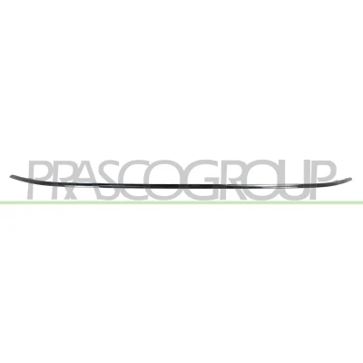 Imagem de PRASCO FT4501235 Friso, pára choques à frente