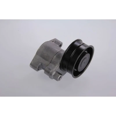 Imagem de SKF VKMCV 57001 Polia Tensora