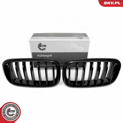 Imagem de ESEN SKV 66SKV294 Grelha de Radiador preto, brilhante BMW: X5