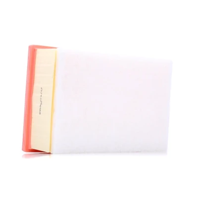 Imagem de AUTOMEGA 180029010 Filtro de ar 77 168 246 rectangular Cartucho filtrante PEUGEOT: 307 Hatchback, SW, Carrinha, CITROËN: C4 Coupe