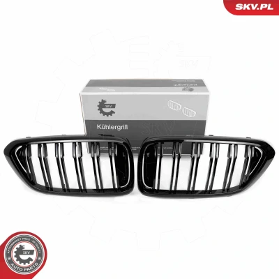Imagem de ESEN SKV 66SKV210 Grelha de Radiador preto, brilhante