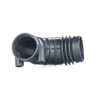 Imagem de FEBI BILSTEIN 30622 Tubo flexível de admissão, filtro ar BMW: 5 Sedan