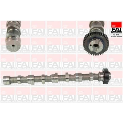 Imagem de FAI AutoParts C347 Árvore de Cames VOLKSWAGEN: Transporter 5, Eos, Touran I, AUDI: A5 B8 Coupe, SKODA: Roomster