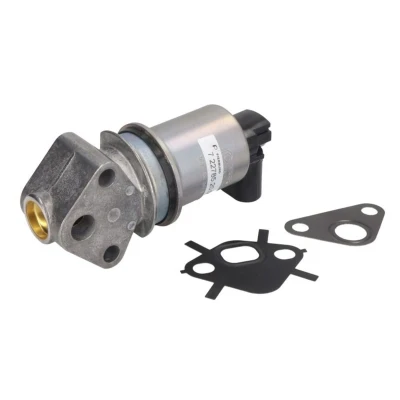 Imagem de PIERBURG 7.22785.20.0 Válvula EGR elétrico Electroválvula com junta AUDI: A4 B6 Avant, Sedan, B5 VOLKSWAGEN: Passat GP Variant