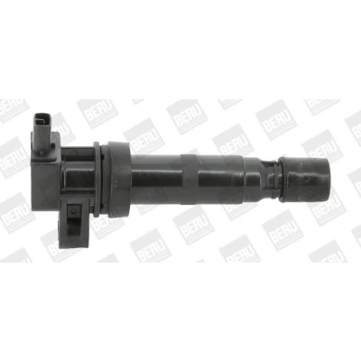 Imagem de BERU ZS531 Bobina de ignição 2 12 Spring KIA: SORENTO 1