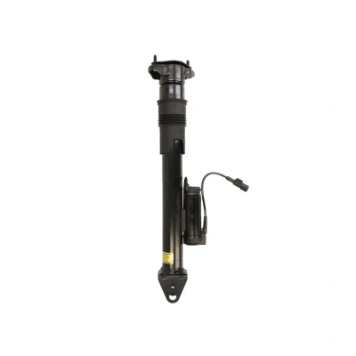 Imagem de Amortecedor de choque BILSTEIN 24 166980
