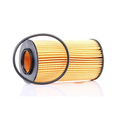 Imagem de PURFLUX L307 Filtro de óleo Cartucho filtrante BMW: 3 Touring, Sedan, 5 LAND ROVER: Freelander I SUV, SUV Cabrio, 75