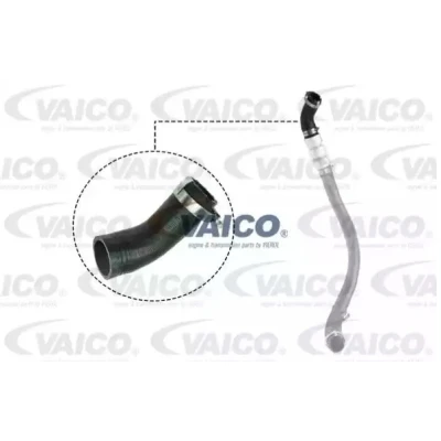 Imagem de VAICO V25 1037 Mangueira Para o Turbocompressor Borracha com entretela Q+, original equipment manufacturer quality