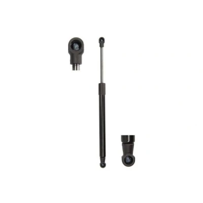 Imagem de Mola de ar, compartimento bagagem/carga MAGNUM TECHNOLOGY MGS3011