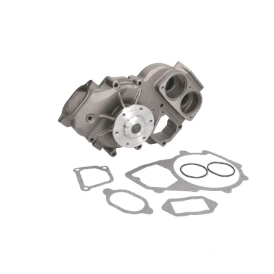Imagem de THERMOTEC WP MN101 Bomba de água Fundição cinzenta com juntas