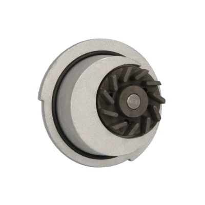 Imagem de INA 538 0012 10 Bomba de água 19 OPEL: Corsa B Hatchback, Astra G CC, F CC