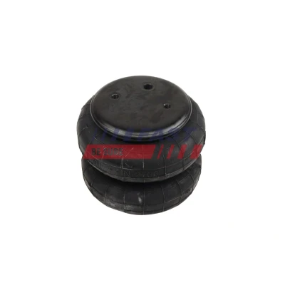 Imagem de FAST FT11858 Mola pneumática, chassis