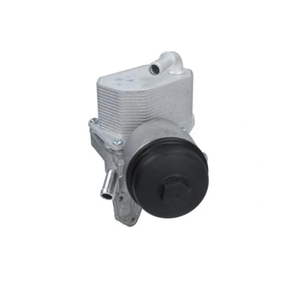 Imagem de THERMOTEC D4G024TT Radiador de Óleo FORD: Ranger Mk3
