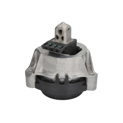 Imagem de REINHOCH RH11 3114 Suporte, motor esquerda