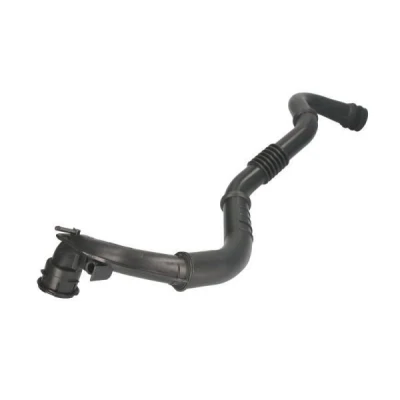 Imagem de THERMOTEC DCA029TT Mangueira Para o Turbocompressor RENAULT: GRAND SCENIC 2, MEGANE 2 Kombi,