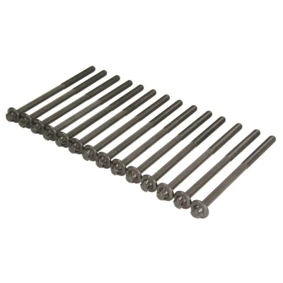 Imagem de ELRING 233.380 Jogo de Parafusos da Cabeçote torx exterior BMW: 3 Touring, Coupe, Sedan