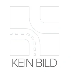 Imagem de DOLZ M247 Bomba de água MERCEDES BENZ: SL Cabrio, CLS Coupe, Classe E Sedan