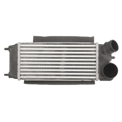 Imagem de Arrefecedor de ar admissão THERMOTEC DAG014TT