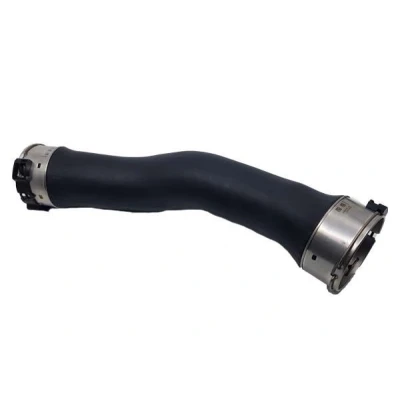 Imagem de BUGIAD 81903 Mangueira Para o Turbocompressor BMW: 3 Touring, Sedan, Coupe