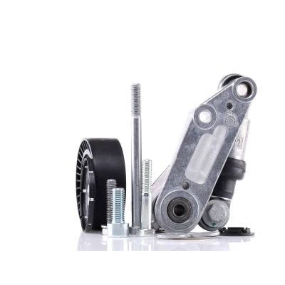 Imagem de INA 533 0097 10 Tensor da Correia BMW: 3 Coupe, 5 Sedan, Touring
