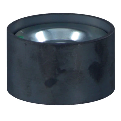 Imagem de FEBI BILSTEIN 27169 Polia de Desvio