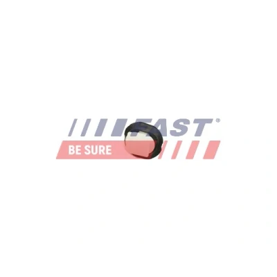 Imagem de FAST FT96300 Grampo, friso Plástico FIAT: Ducato III Van