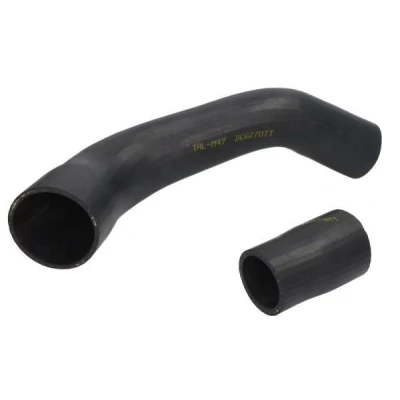 Imagem de Mangueira de ar reforço THERMOTEC DCG270TT