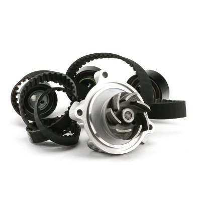 Imagem de INA 530 0483 30 bomba de Água + Kit Correia Distribuição com água VOLKSWAGEN: Transporter 4 Bus,