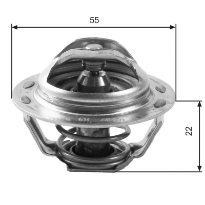 Imagem de GATES FleetRunner Micro V Stretch Fit T43021 Rolo tensor, correia dentada FORD: Galaxy Mk1 MPV