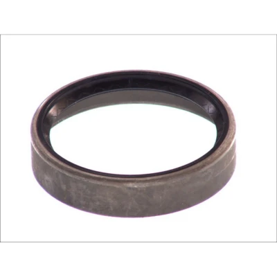 Imagem de ELRING 009.360 Juntas
