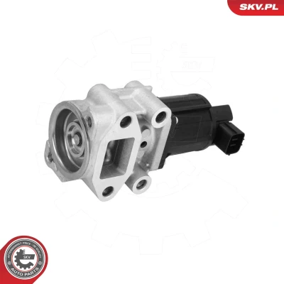 Imagem de Válvula de recirculação dos gases escape ESEN SKV 14SKV300
