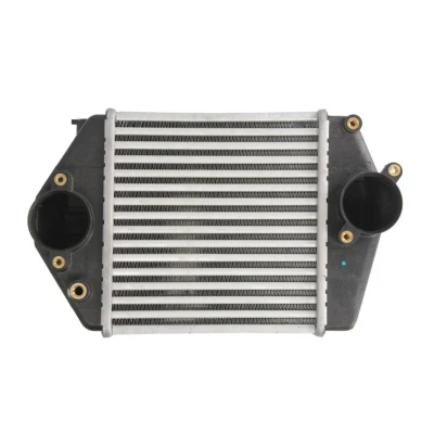 Imagem de THERMOTEC DA3002TT Intercooler 200 65