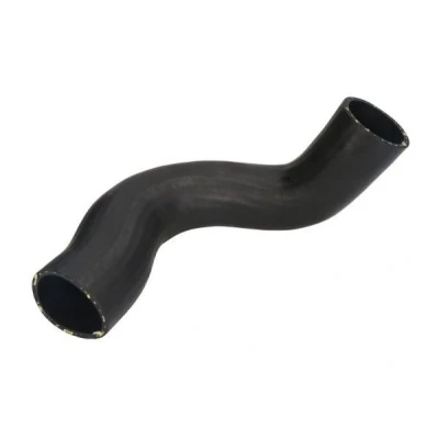 Imagem de THERMOTEC DCV032TT Mangueira Para o Turbocompressor